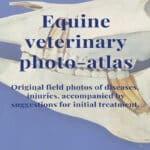 Equine Veterinary Photo-Atlas: Original field photos of diseases and injuries, accompanied by suggestions for initial treatment Equine Veterinary Photo-Atlas: Original field photos of diseases and injuries, accompanied by suggestions for initial treatment