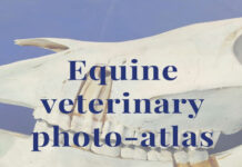 Equine Veterinary Photo-Atlas: Original field photos of diseases and injuries, accompanied by suggestions for initial treatment
