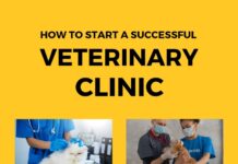 How to Start a Successful Veterinary Clinic PDF