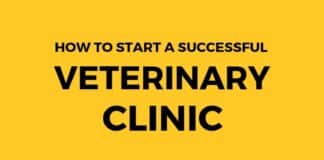 How to Start a Successful Veterinary Clinic PDF