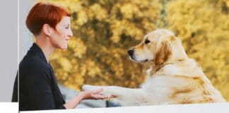 Hundegestütztes Coaching und Training