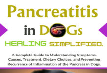 Pancreatitis in Dogs Healing Simplified Pancreatitis in Dogs Healing Simplified