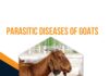Parasitic Diseases Of Goats