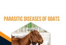 Parasitic Diseases of Goats