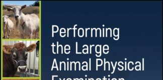 Performing the Large Animal Physical Examination