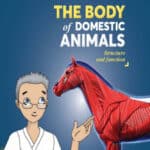 Select The Body of Domestic Animals Structure and Function The Body of Domestic Animals Structure and Function
