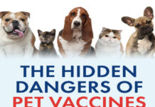 The Hidden Dangers of Pet Vaccines