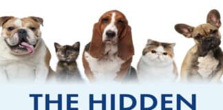 The Hidden Dangers of Pet Vaccines