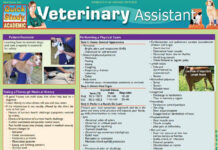 Veterinary Assistant – Chris Pinney Veterinary Assistant – Chris Pinney