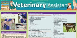 Veterinary Assistant – Chris Pinney