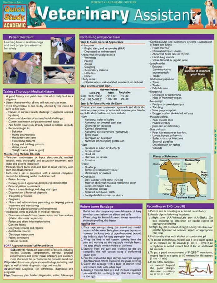 Veterinary Assistant – Chris Pinney