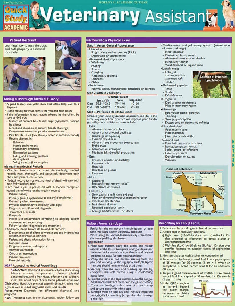 Veterinary Assistant – Chris Pinney Pdf Download