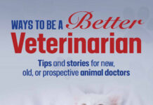 Ways to be a Better Veterinarian: Tips and stories for new, old, or prospective animal doctors Ways to be a Better Veterinarian: Tips and stories for new, old, or prospective animal doctors