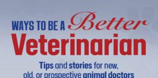 Ways to be a Better Veterinarian: Tips and stories for new, old, or prospective animal doctors