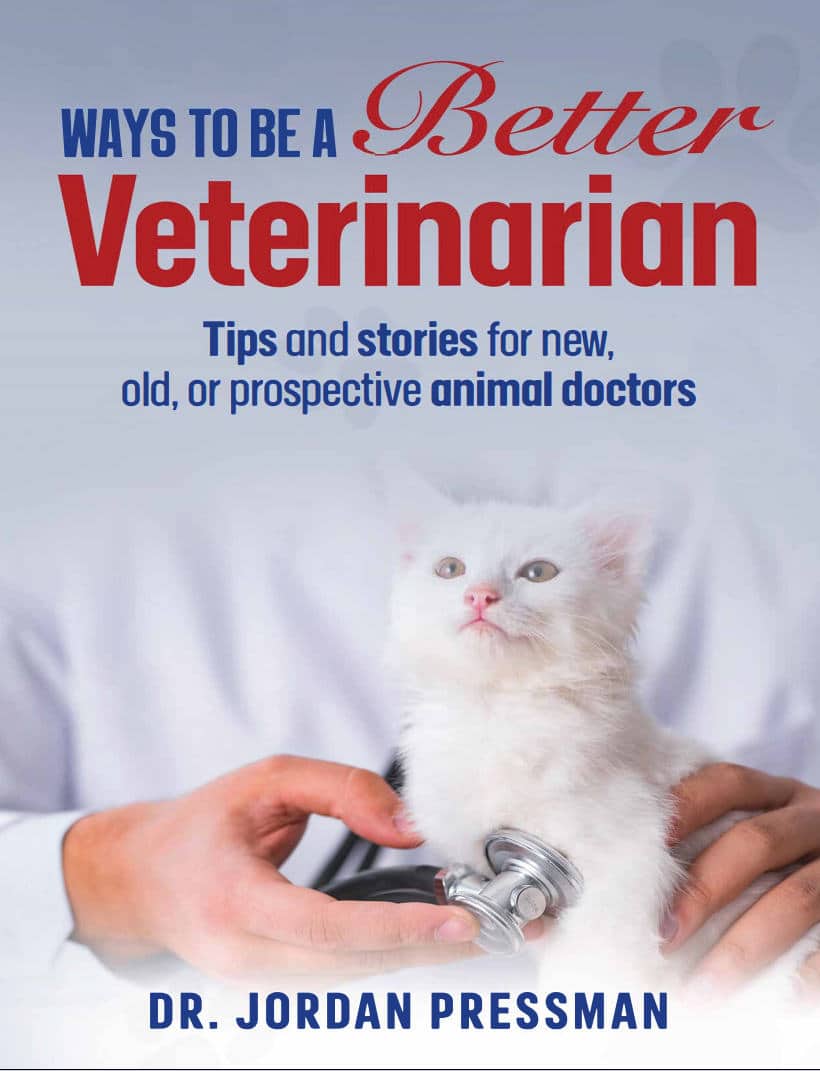 Ways To Be A Better Veterinarian: Tips And Stories For New, Old, Or Prospective Animal Doctors