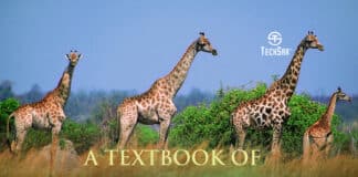 A Textbook of Economic Zoology