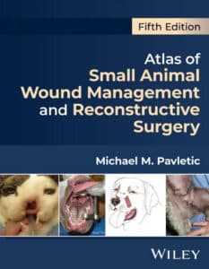 Small animal surgery 上下 Small Animal - Endoscopes | MAI Animal Health