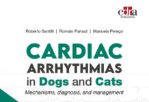 洋書 CARDIAC ARRHYTHMIAS in Dogs and Cats Cardiac Arrhythmias in Dogs and Cats: Mechanisms, diagnosis
