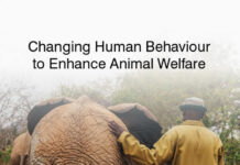 Changing Human Behaviour to Enhance Animal Welfare
