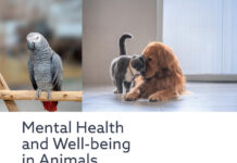Mental Health and Well-being in Animals 3rd Edition