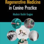 Stem Cell-Based Regenerative Medicine in Canine Practice