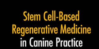 Stem Cell-Based Regenerative Medicine in Canine Practice