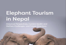 Elephant Tourism in Nepal