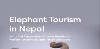 Elephant Tourism in Nepal