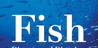 Fish Diseases and Disorders, Volume 3- Viral, Bacterial and Fungal Infections