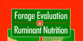Forage Evaluation in Ruminant Nutrition