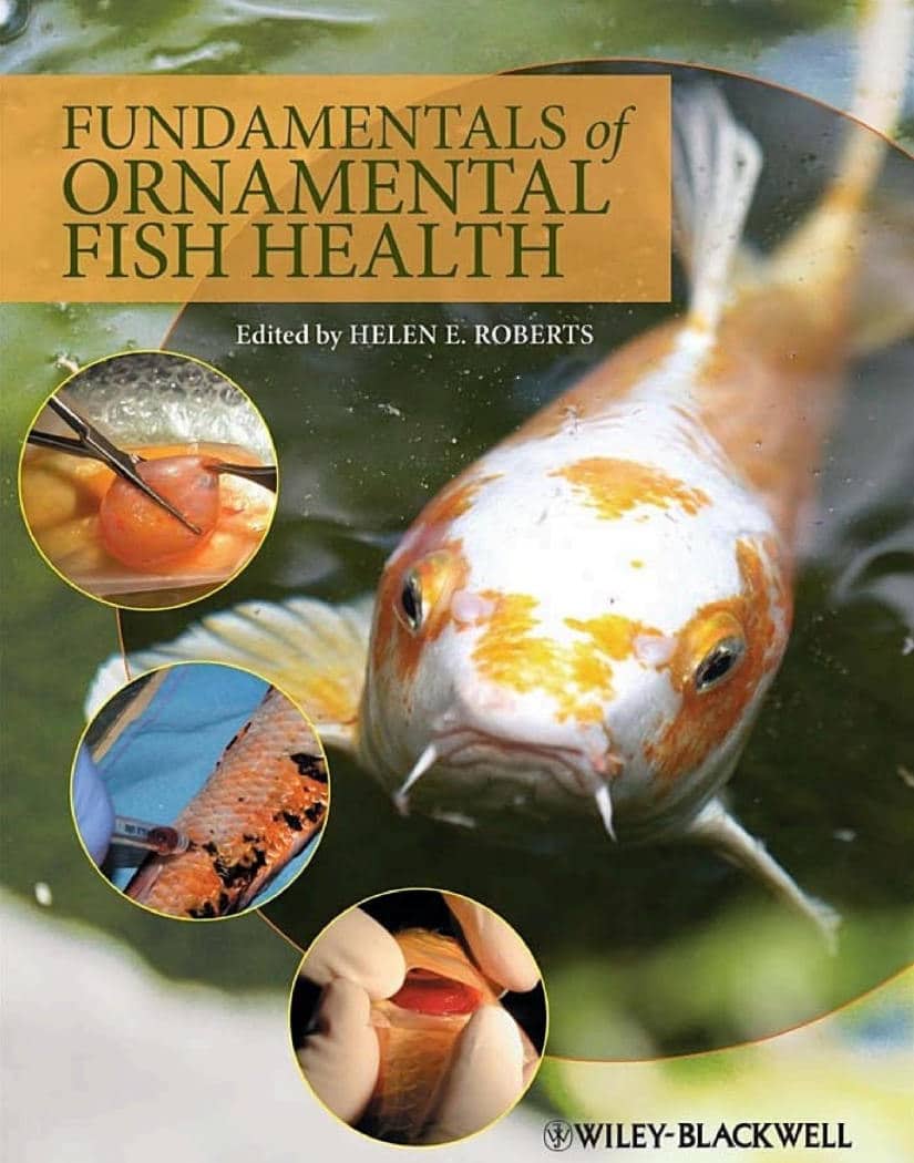 Fundamentals Of Ornamental Fish Health Pdf Download