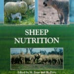 Sheep Nutrition