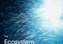 The Ecosystem Approach to Fisheries