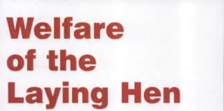 Welfare of The Laying Hen