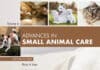 Advances in Small Animal Care, 2025 (Volume 6-1) Advances in Small Animal Care, 2025 PDF