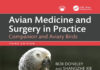 Avian Medicine And Surgery In Practice Companion And Aviary Birds, 3Rd Edition Avian Medicine And Surgery In Practice Companion And Aviary Birds, 3Rd Edition Pdf