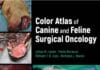 Color Atlas Of Canine And Feline Surgical Oncology Color Atlas Of Canine And Feline Surgical Oncology