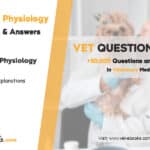 Cerebellum Physiology MCQs: Questions on Coordination and Movement
