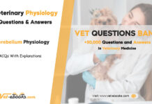 Cerebellum Physiology MCQs: Questions on Coordination and Movement