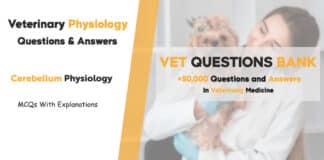 Cerebellum Physiology MCQs: Questions on Coordination and Movement