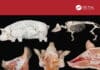 Anatomy And Histology Of The Pig A Concise Full-Color Atlas Anatomy And Histology Of The Pig A Concise Full-Color Atlas