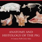 Anatomy and Histology of the Pig A Concise Full-Color Atlas