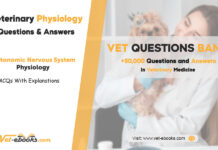Autonomic Nervous System Veterinary Physiology MCQs Questions