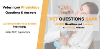 Autonomic Nervous System Veterinary Physiology MCQs Questions