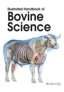 Illustrated Handbook Of Bovine Science