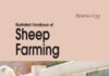 Illustrated Handbook Of Sheep Farming Illustrated Handbook Of Sheep Farming Pdf Download