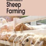 Illustrated Handbook of Sheep Farming Illustrated Handbook of Sheep Farming PDF Download