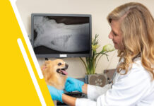 Illustrated Handbook of Veterinary Radiology