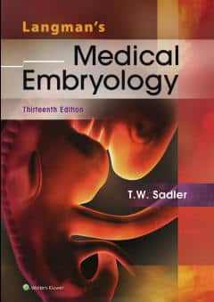 Langman’s Medical Embryology 13Th Edition