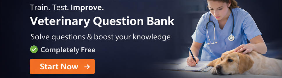 Veterinary Question Bank – Train, Test, Improve